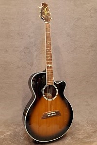 Takamine DSP110